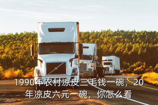 蘇州一碗涼皮多少錢,20年涼皮六元一碗
