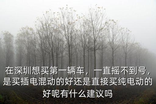 在深圳想買車搖號搖不到怎么辦,一直搖不到號