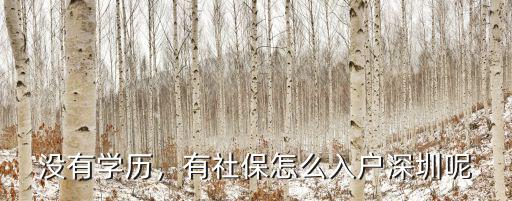 沒有學歷，有社保怎么入戶深圳呢