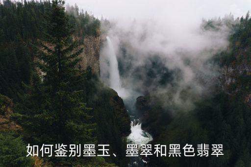 如何鑒別墨玉、墨翠和黑色翡翠