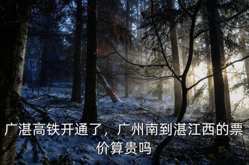 廣州南到湛江高鐵怎么這么貴,廣州南到湛江西的票價算貴嗎
