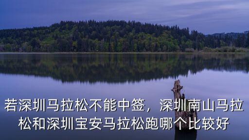 怎么才能參加深圳馬拉松,若深圳馬拉松不能中簽
