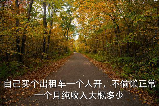 自己買個出租車一個人開，不偷懶正常一個月純收入大概多少