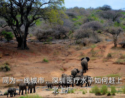 深圳分醫療水平怎么樣,深圳醫療水平能進入五線嗎