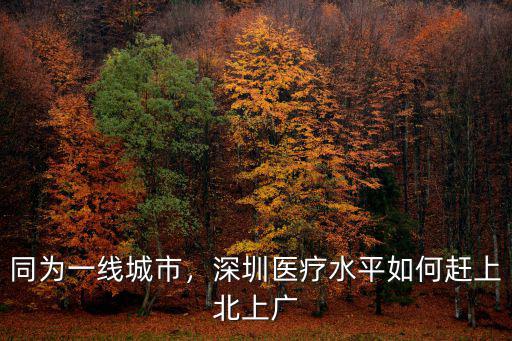 同為一線城市，深圳醫療水平如何趕上北上廣