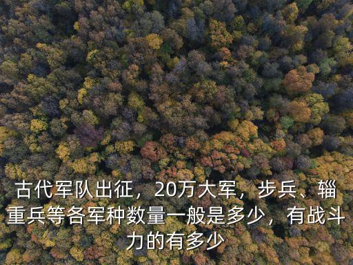 江蘇兵力有多少,有戰斗力的有多少