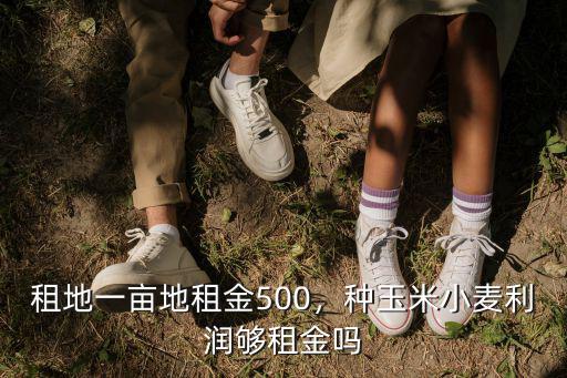 租地一畝地租金500，種玉米小麥利潤(rùn)夠租金嗎