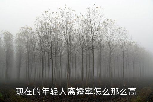 清遠離婚率怎么會這么高,現在離婚率為什么這么高