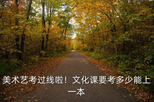 江蘇美術(shù)生要考多少分才能上一本,文化課要考多少能上一本