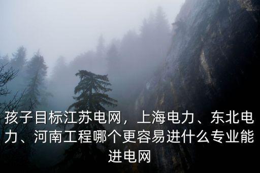孩子目標江蘇電網，上海電力、東北電力、河南工程哪個更容易進什么專業能進電網