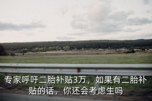 專家呼吁二胎補貼3萬，如果有二胎補貼的話，你還會考慮生嗎