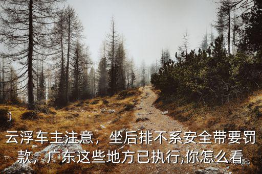廣東后排不系安全帶怎么處理,坐后排不系安全帶要罰款