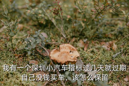 深圳有指標后怎么拿號,有深圳上牌指標