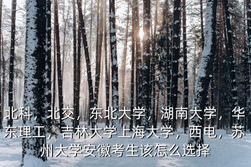 北科，北交，東北大學，湖南大學，華東理工，吉林大學上海大學，西電，蘇州大學安徽考生該怎么選擇