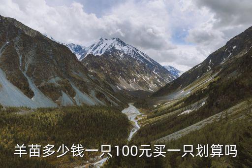 羊苗多少錢(qián)一只100元買(mǎi)一只劃算嗎