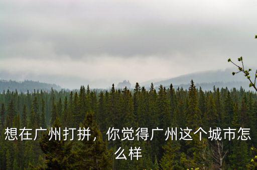想在廣州打拼，你覺得廣州這個城市怎么樣