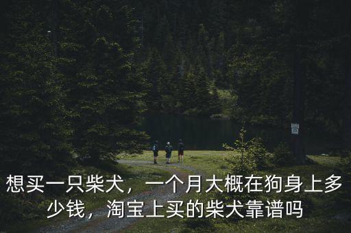 泰州柴犬幼犬一般多少,幾個(gè)月大的柴犬幼犬最好養(yǎng)