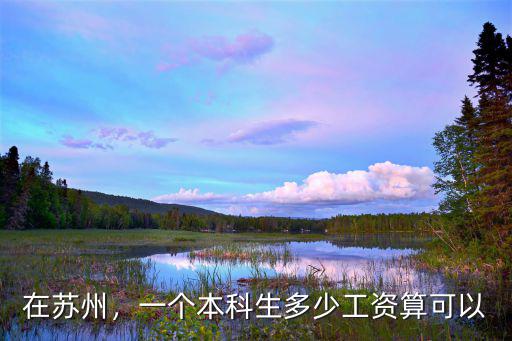 蘇州大學生工資多少,一個本科生多少工資算可以