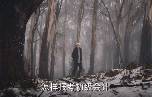 陽江市怎么報考初級會計證,怎樣報考初級會計