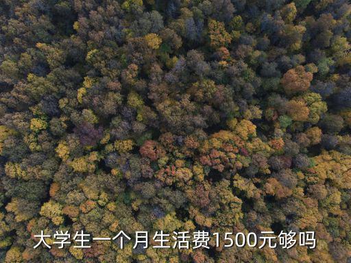 常州大學生一個月生活費多少錢一天,一個月生活費多少合適