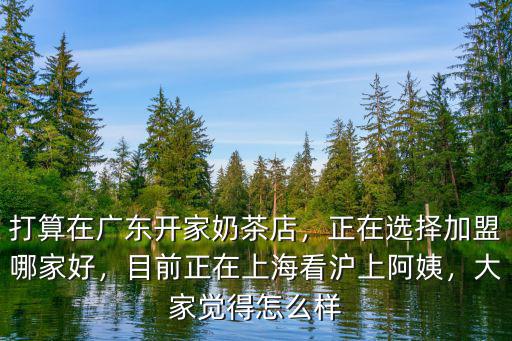 東莞滬上阿姨工資怎么樣,目前正在上海看滬上阿姨