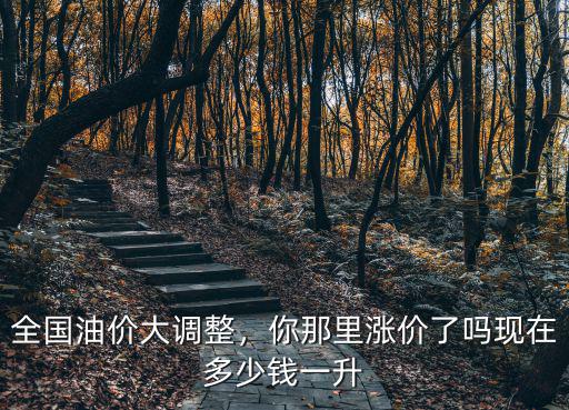 現(xiàn)在江蘇油價92多少錢一升,現(xiàn)在多少錢一升