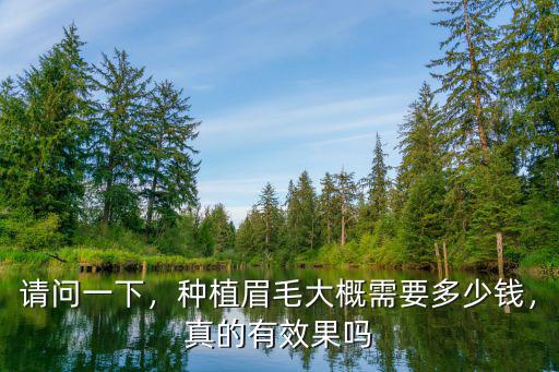 請問一下，種植眉毛大概需要多少錢，真的有效果嗎