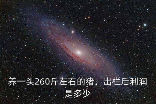 徐州養(yǎng)豬一頭利潤多少,養(yǎng)一頭豬的利潤是多少