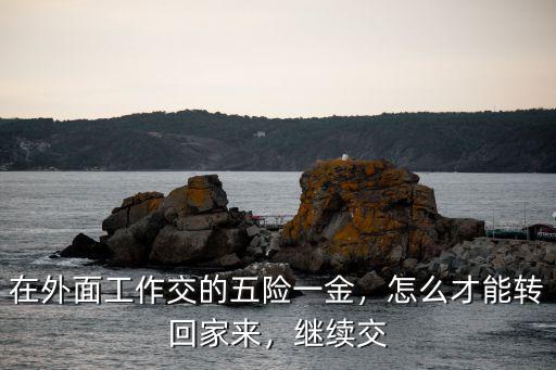 深圳的五險一金怎么轉回西安,在外面工作交的五險一金