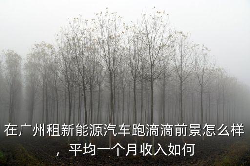 廣州機場跑滴滴怎么樣,在廣州租車跑滴滴好嗎