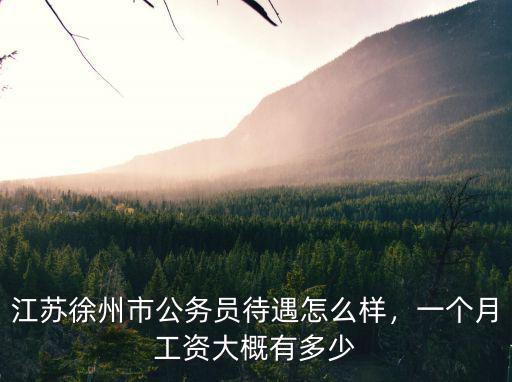 江蘇徐州市公務員待遇怎么樣，一個月工資大概有多少