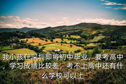 深圳初中沒考上高中怎么辦,深圳中考落榜怎么辦