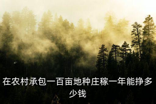 江蘇如皋種植一百畝水稻能賺多少錢,四百一畝能賺多少錢