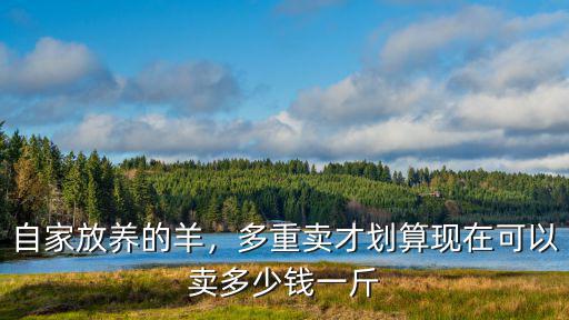南通小母羊20斤的多少錢,現在小母羊多少錢一斤