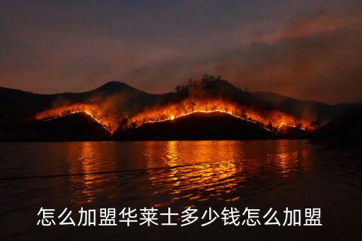 連云港華萊士加盟費多少 怎么加盟,華萊士加盟費大概是多少