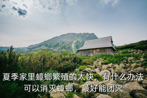 夏季家里蟑螂繁殖的太快，有什么辦法可以消滅蟑螂，最好能團滅