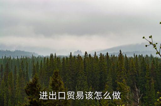 進(jìn)出口貿(mào)易該怎么做
