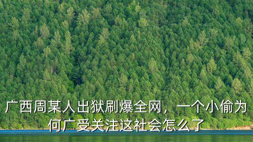 廣州周某人怎么了,廣西偷電瓶的周某人要出獄了