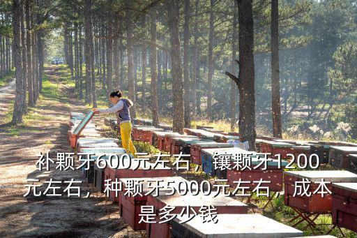 補顆牙600元左右，鑲顆牙1200元左右，種顆牙5000元左右，成本是多少錢
