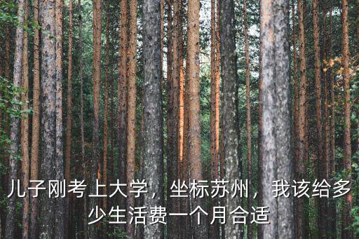 兒子剛考上大學(xué)，坐標(biāo)蘇州，我該給多少生活費(fèi)一個月合適