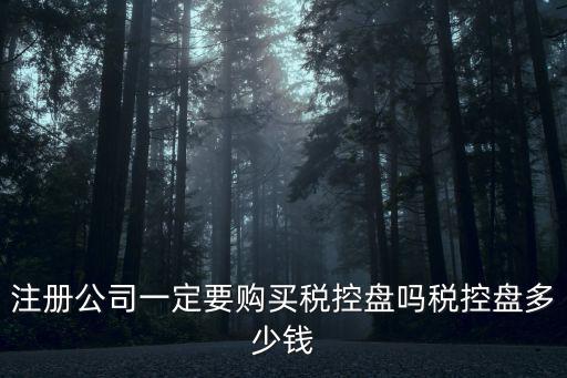 江蘇稅控盤多少錢一個(gè),稅控盤多少錢