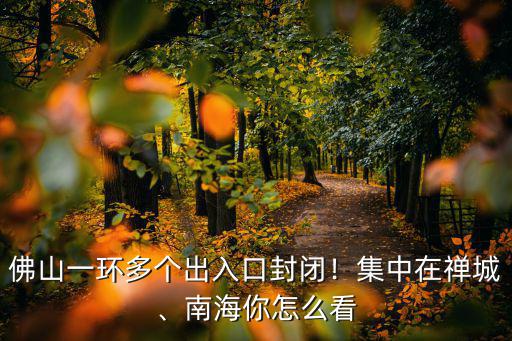 國(guó)家怎么看佛山一環(huán),佛山一環(huán)多個(gè)出入口封閉