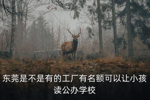 東莞企業(yè)入公辦學(xué)校 怎么辦理,現(xiàn)在就讀東莞公辦小學(xué)四年級