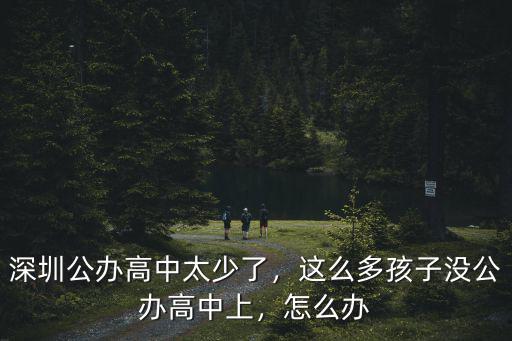 深圳公辦沒錄取怎么辦,深圳公辦高中太少了