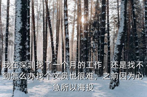 我在深圳找了一個月的工作，還是找不到怎么辦找個文員也很難，之前因為心急所以海投