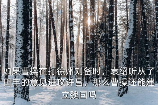 如果曹操在打徐州劉備時，袁紹聽從了田豐的意見進攻許昌，那么曹操還能建立魏國嗎