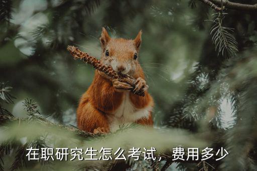 在職研究生怎么考試，費用多少