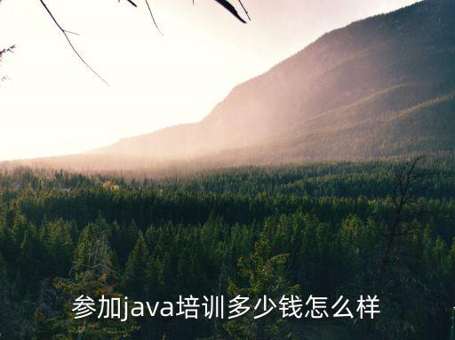 陽江正規java培訓怎么樣,Java實驗班怎么樣