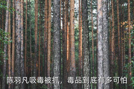 汕尾怎么那么多毒品,毒品到底有多可怕