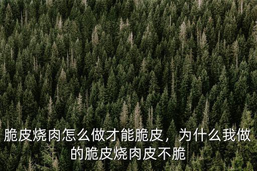 脆皮燒肉怎么做才能脆皮，為什么我做的脆皮燒肉皮不脆